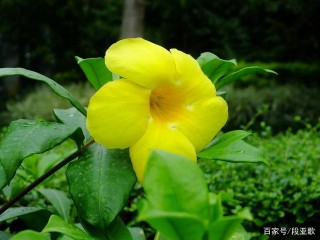 下周，舊情刺眼，回憶動人，三大星座，難舍難離，轉身追回前任