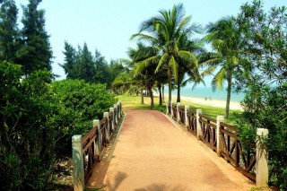 踏上海口旅行之路，感受冬日的溫暖