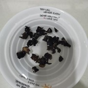 涼拌黑木耳，簡單方便涼拌菜