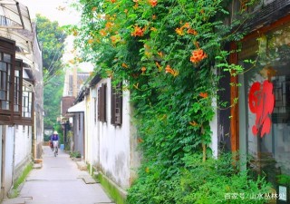 初來乍到的蘇州，三條街必去，歷史、美食、人文故事都藏在這裏