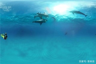 海冰將成為過去式？地球其後難以改變，北極會消失嗎？