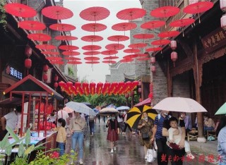 武漢園博園開放免費預約旅遊，吸引了更多外地遊客
