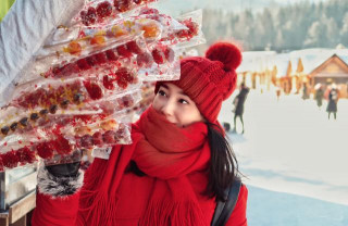 去哈爾濱、雪鄉旅遊的注意了，驢友真實經歷，值得參考！
