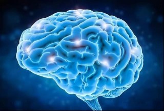 美國神經生物學家，0-5歲是孩子大腦發育的黃金期，父母要抓住