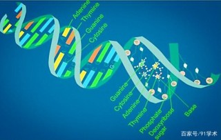 投稿生物學方向統計源科技核心期刊有哪些？