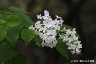 明天起橫財一飛沖天，每天都有小驚喜，遇貴人事業有成的4星座