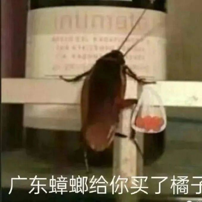 在寢室床上發現這玩意，確實是夠嚇人的