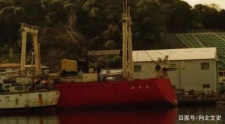 日本漁船捕獲一頭海怪，卻被船長扔回大海，之後多個國家合作尋找