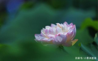 9月，紅鸞星動，桃花盛開，真愛在眼前，有情人終成眷屬的四星座