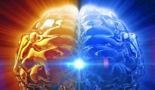 人被砍頭後還有知覺嗎？為證明實驗理論，科學家用生命做出了解答