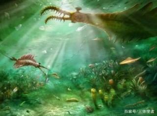 重大發現！雲南出現5億年前的蝦，它或能揭開“寒武紀爆發”之謎