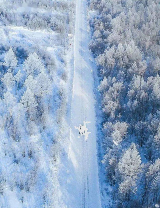 【雲天社@黑龍江分社】家鄉突降一場雪 一一致敬家鄉一位英雄 作者/徐慧征