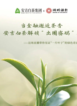 當金融邂逅茶香，安吉白茶解鎖“出圈密碼”！_生態_發展_集團