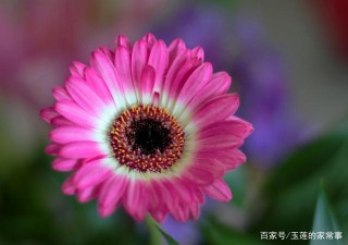這幾個星座不願與陌生人交談，害羞羞怯，寡言少語人稱“悶葫蘆”