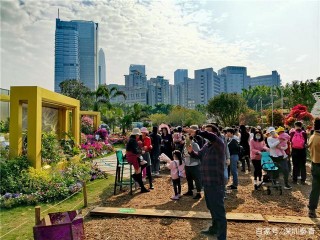 深圳蓮花山公園：市中心區的一顆璀璨明珠，旅遊必去的打卡景點