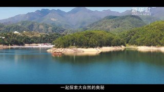 生物多樣性調查隊員的24小時