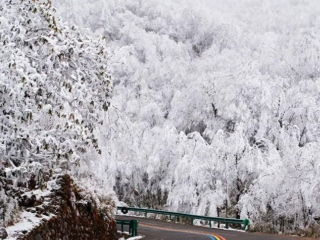 北緯30度的林海雪原，享有四川小北歐美譽，距離成都3.5小時車程