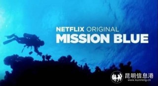 聚焦人類文明和生態環境關系 綠岸本月將放映電影《我和我們的星球》