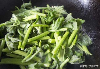 知識小科普：南瓜藤做菜對身體有害嗎？