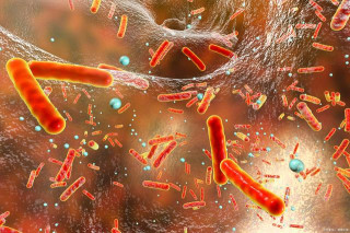 生物是冷門專業？產業工廠升級，碳中和讓生物學世紀提前到來！