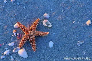 如果生物老師這樣教我學生物，不是學神也是學霸