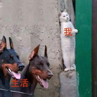 上車吧，打工人！為你職場能量添磚加瓦的時候到了！