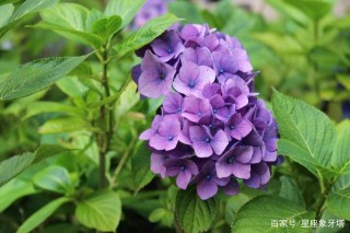 未來5天星座運勢：白羊充滿鬥志，射手另眼相看，雙魚大膽表達