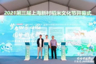 生鮮電商加盟新村稻米文化節合力打造全新稻米品牌