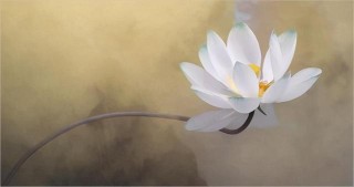 每個人心中都藏著一個快樂的小孩，但老子問“能嬰兒乎”？