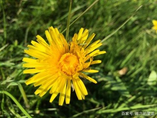 11月底，一別經年，故人如斯，4星座執手舊愛，走遍天涯