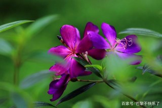 未來兩周裏，姻緣未盡，三大星座，選擇諒解，兩顆心重新相依相偎