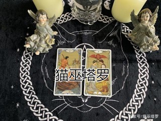 貓巫塔羅：水象星座（巨蟹/天蠍/雙魚）下周運勢，避免出現分歧