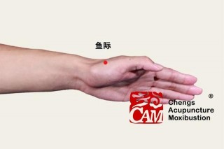 程凱養生說：防治鼻炎的保健穴位