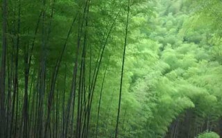 從雲南保山出發，這一條自駕旅遊線路，帶你看遍萬千美景！