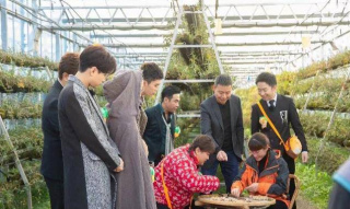 最近一期青環遊3，範丞丞宋小寶楊迪汪蘇瀧，遊溫州鐵定溜溜樂園
