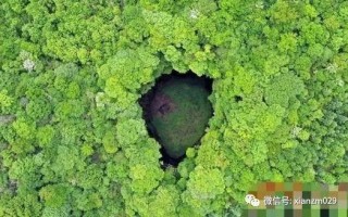 漢中天坑群又有新發現，首次發現大量海洋古生物化石