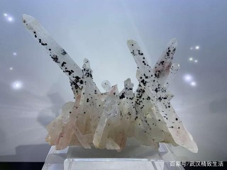 武漢小眾化的高校博物館 外表並不起眼 但展品規模位列全國前列