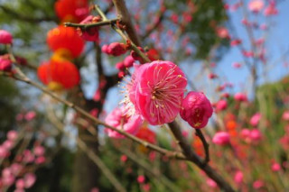 常州小眾公園，景色優美娛樂項目眾多，值得遊玩知道的人卻少