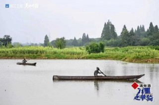 「文藝評論」《萬裏走單騎》讓世界文化遺產走近百姓生活