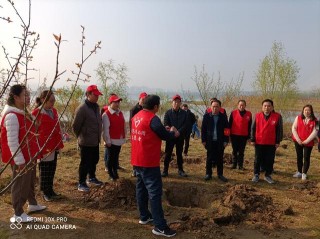 植綠護綠愛綠 弘揚傳統文化