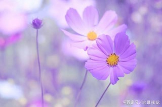 相愛不易，請珍惜自己的愛人，守護好自己的愛情