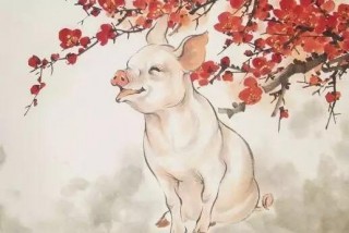 一生魅力無窮的3大生肖女，男人拜倒石榴裙，女人嫉妒紅了眼！