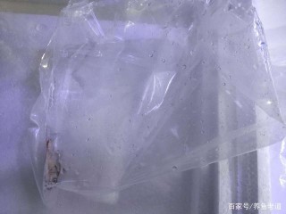 十條小黑斑水虎到貨，直接死了一條，觀賞魚入缸如何操作？
