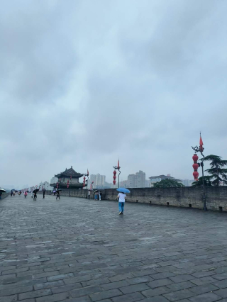 西安三月天：春暖花開，何處不風景？_旅遊_歷史_園藝