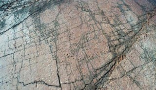 古生物學家發現最大恐龍足跡點，超過9000平方米，至少有933個足跡