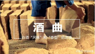 醬香白酒曲藥的奧秘 為什麼醬香酒要放酒曲？