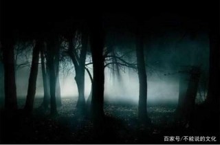 人類忌憚黑暗森林法則，它會出現在現實中嗎？
