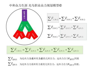 勇攀排球之巔！職業規劃師：這個耀眼的女神是怎麼養成的！