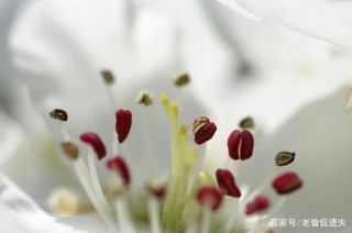 十月上旬，桃花綻放真愛來襲的星座，姻緣幸福美滿，幸福一生！