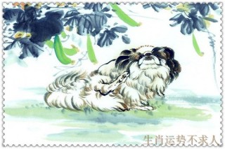 生肖狗 好運和倒霉的年份！